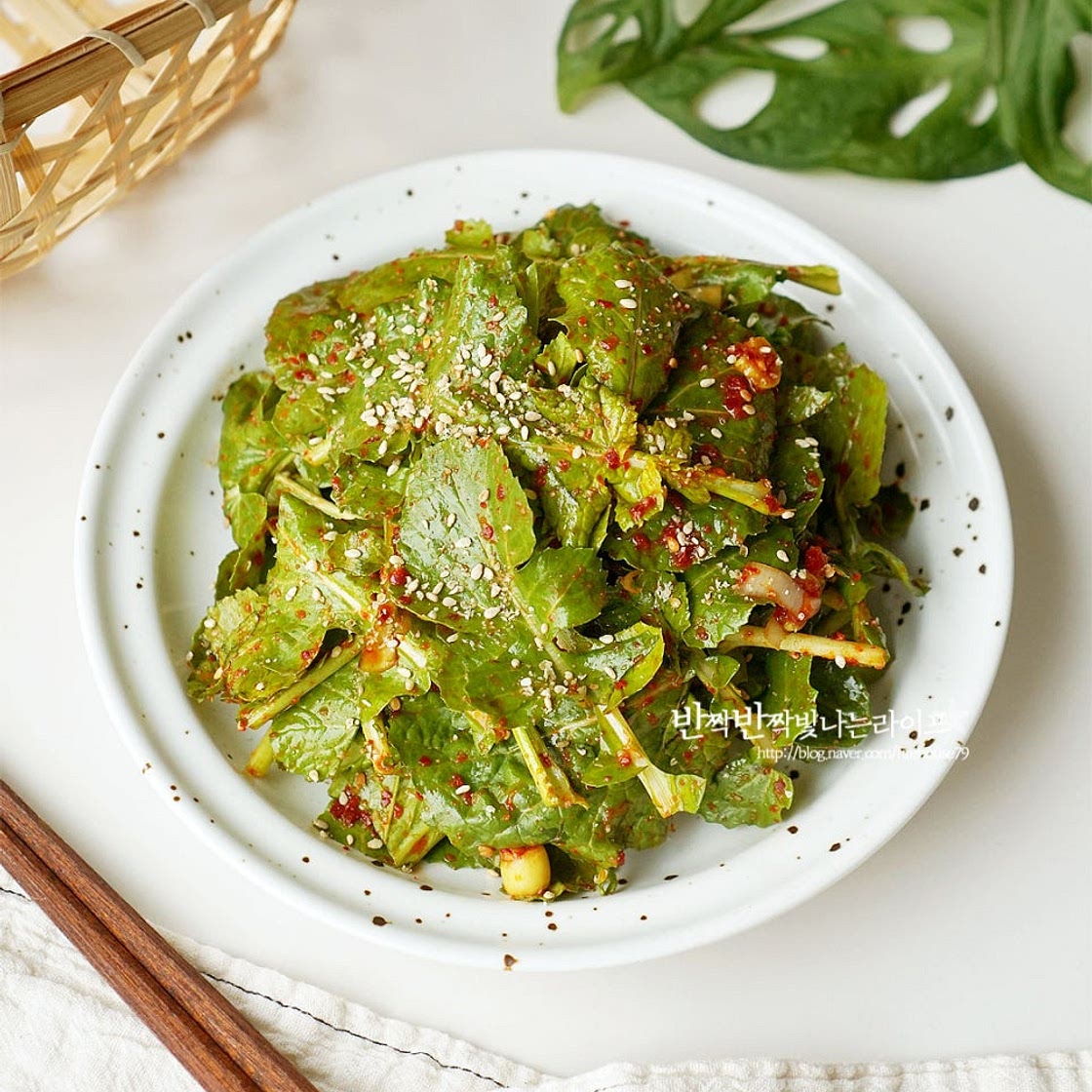 유채나물무침 겨울초무침 유채나물 겨울초 겉절이 레시피