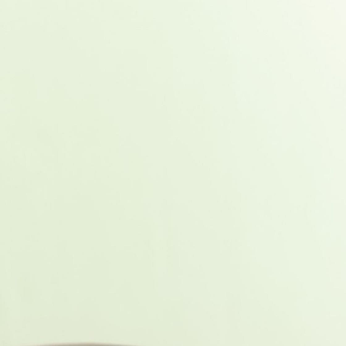 Provençal Vegetable Soup (_Soupe au Pistou_)