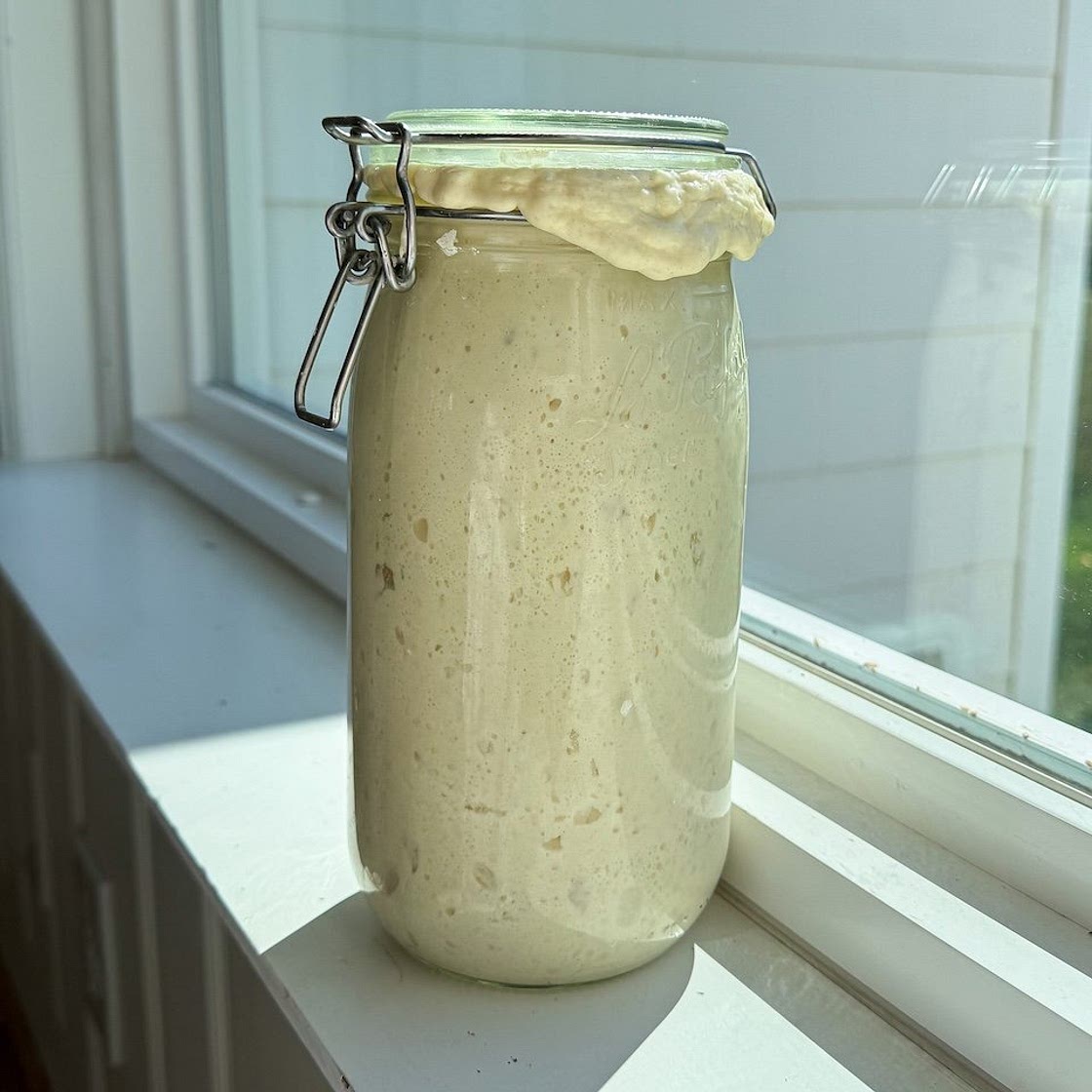 How to Make Sourdough Starter