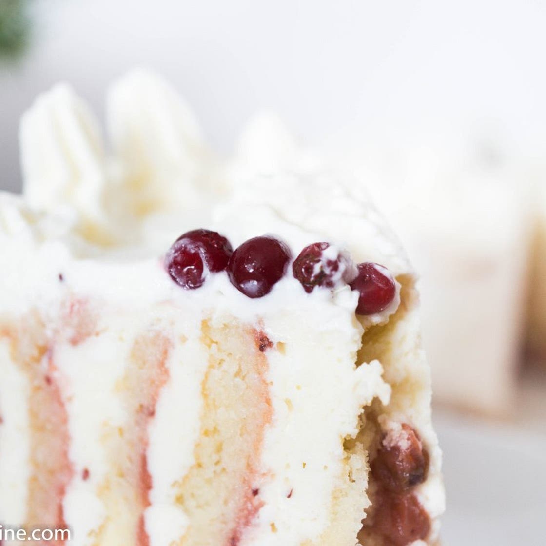 The Vertical Layer Cake with Cottage Cheese Chocolate Cream and Cranberry Filling. Kodujuustu- valge šokolaadi jõhvikakook