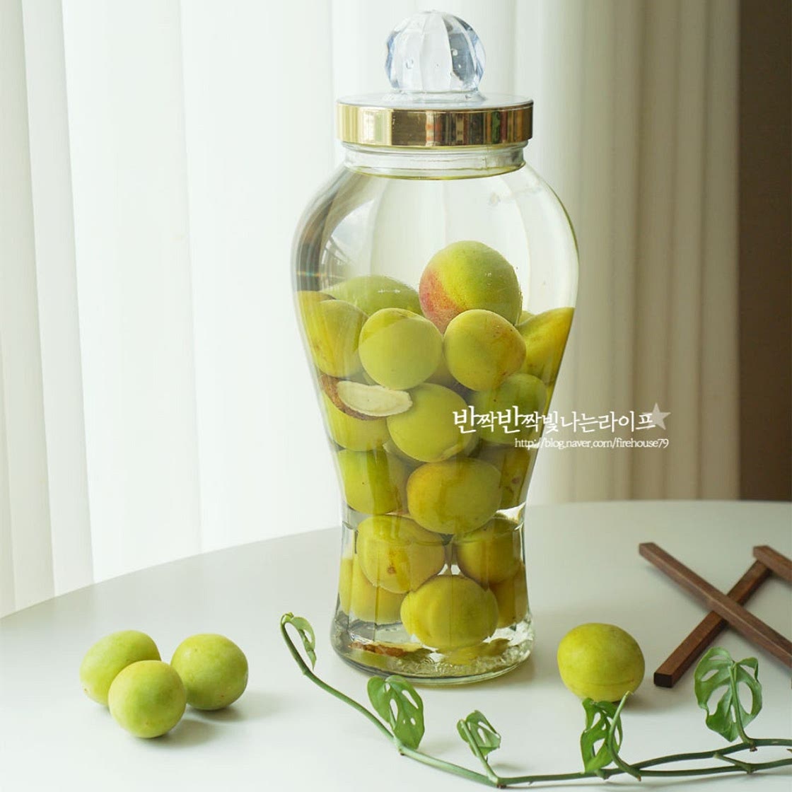 매실주 담그기 매실주 도수 매실 담금주 만들기