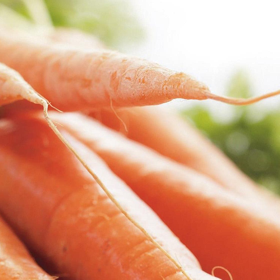 Gâteau aux carottes