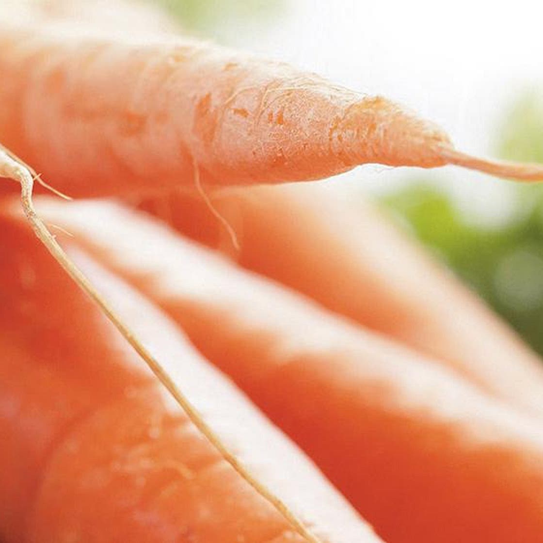 Gâteau aux carottes