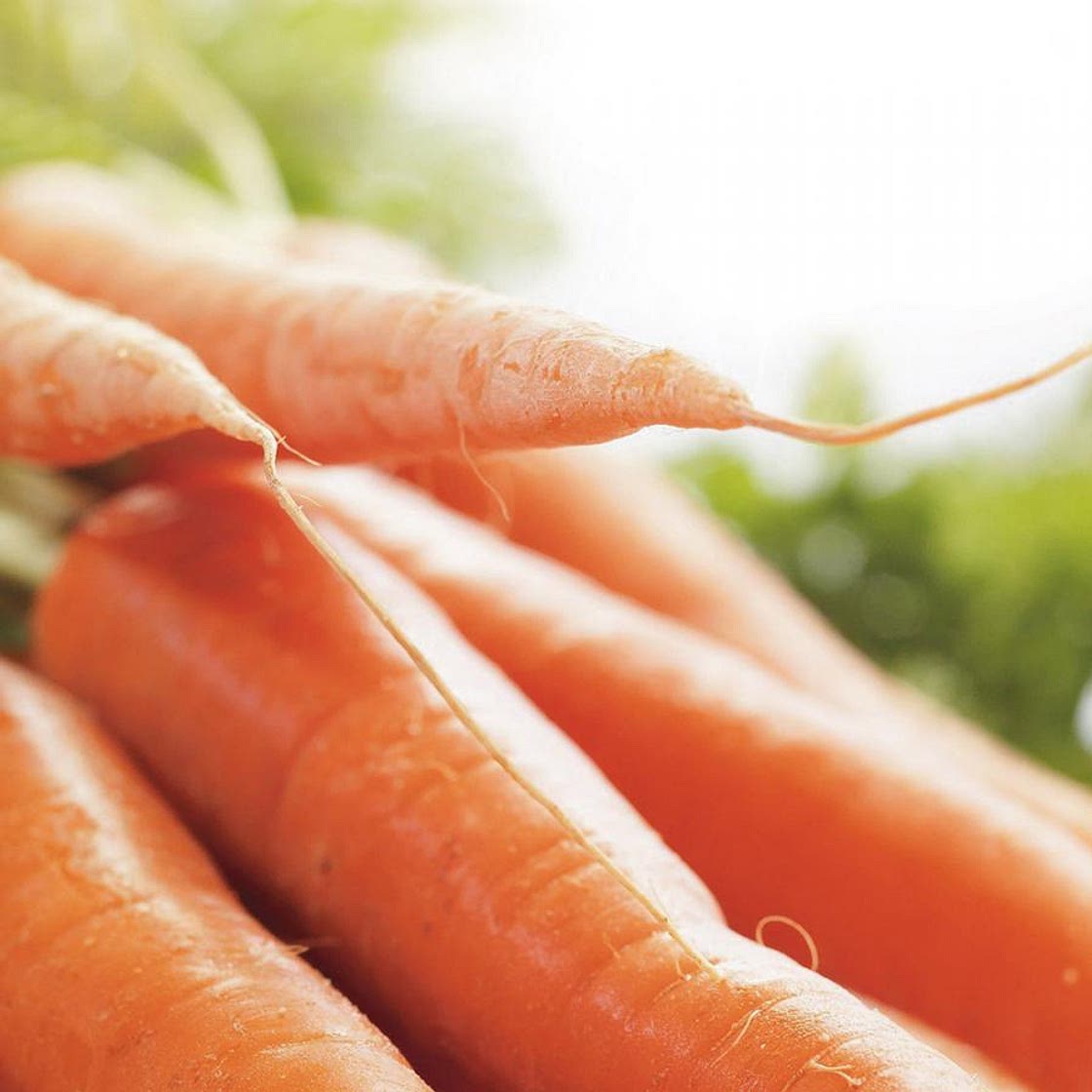 Gâteau aux carottes