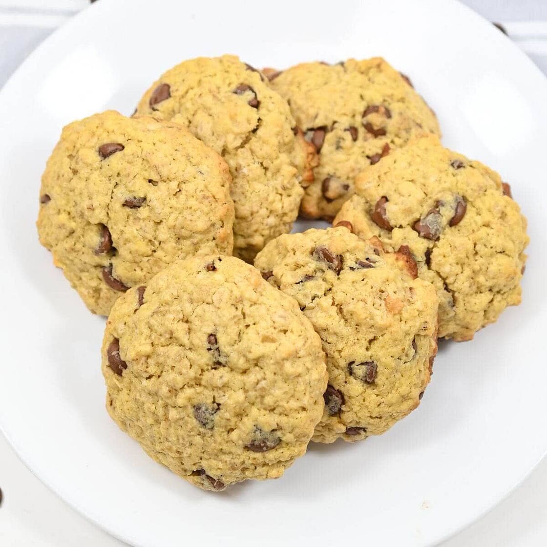 Small Batch Oatmeal Chocolate Chip Cookies