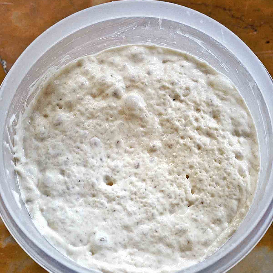 Italian Biga