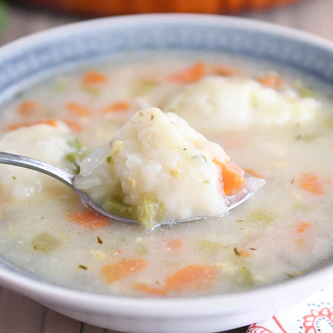 Chicken and Vegetable Dumpling Soup