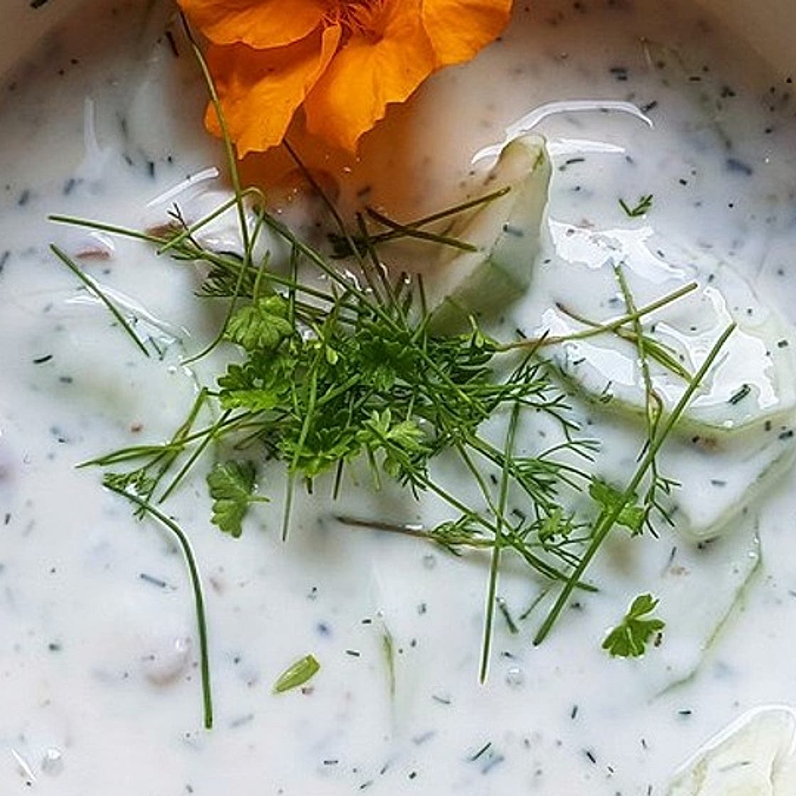 Bulgarischer Tarator