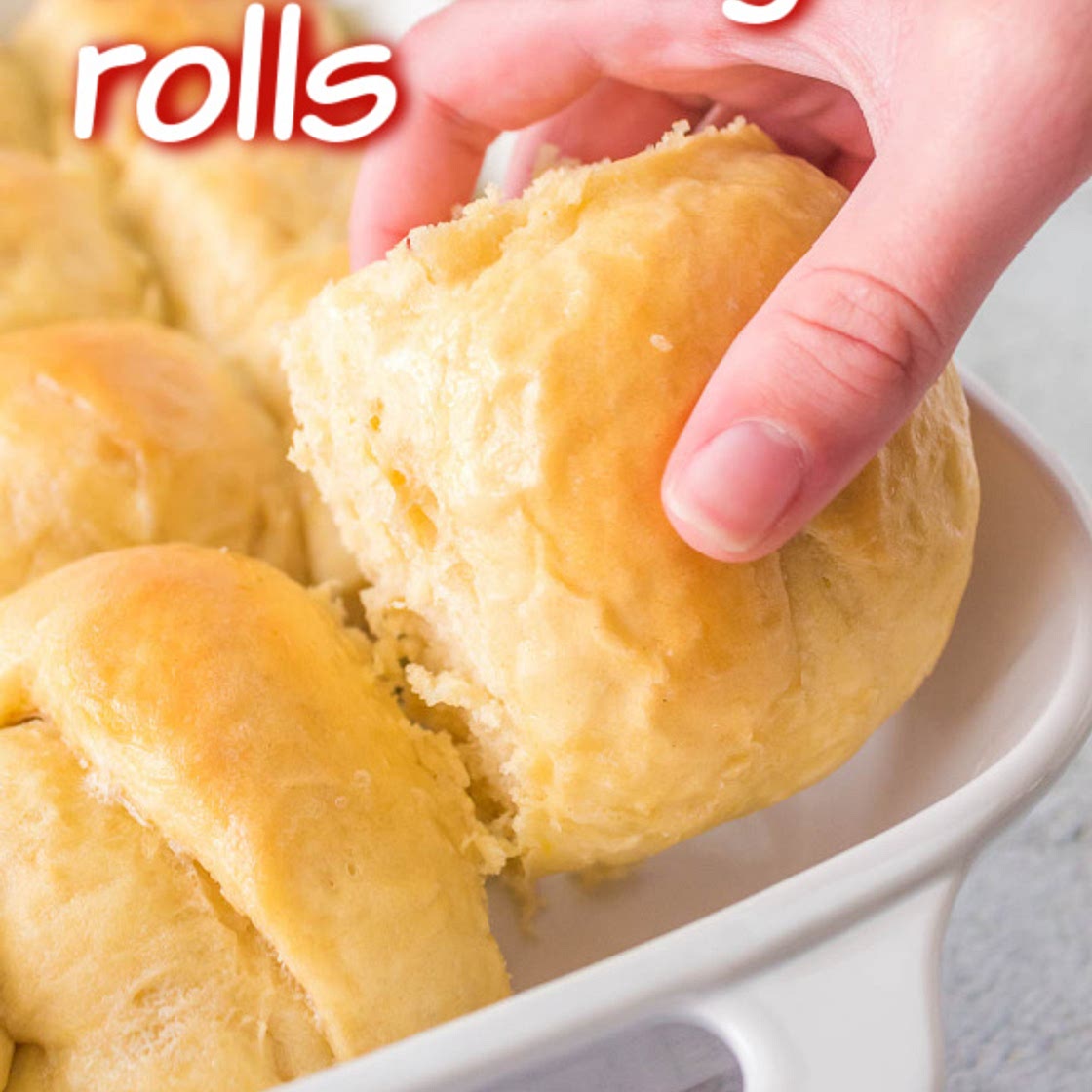 Sourdough Discard Dinner Rolls