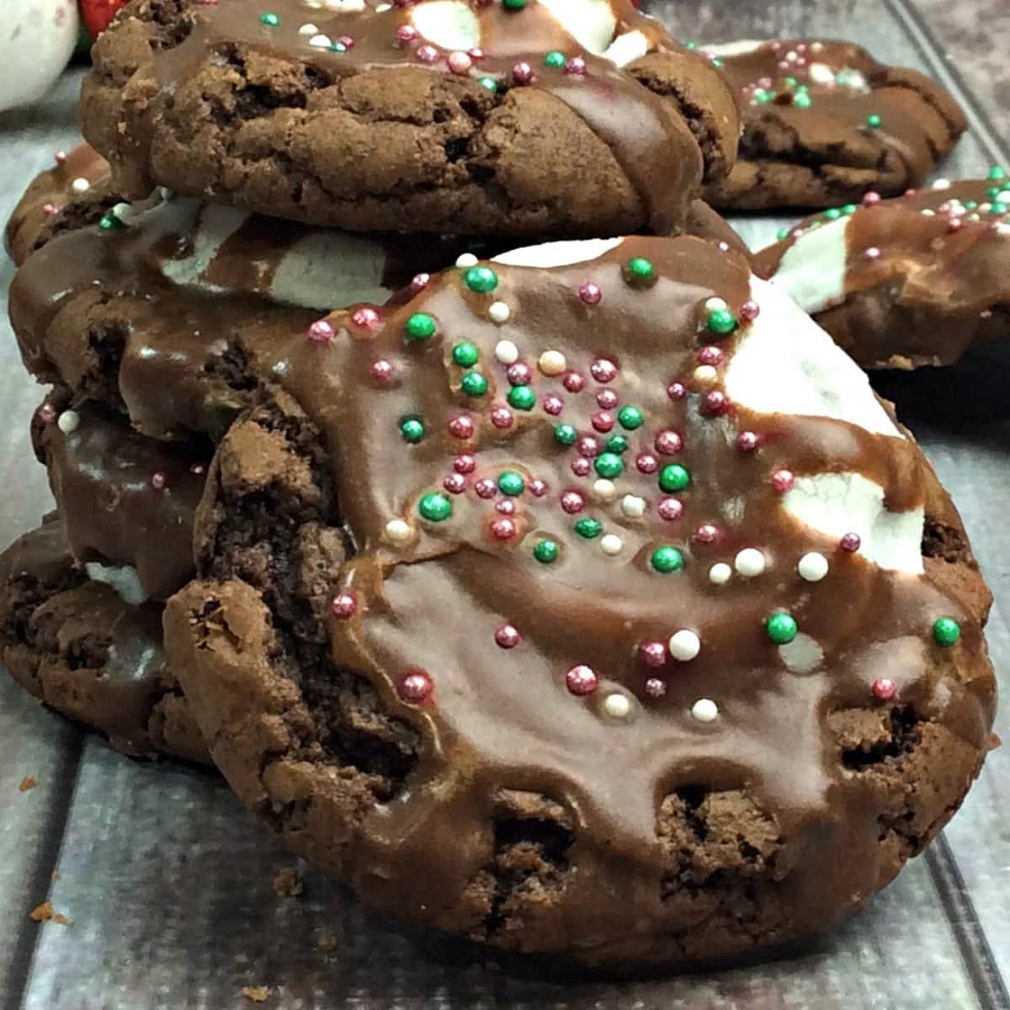 Hot Cocoa Cookies