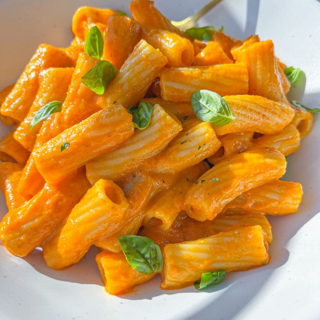 Hidden Veggie Pasta Sauce