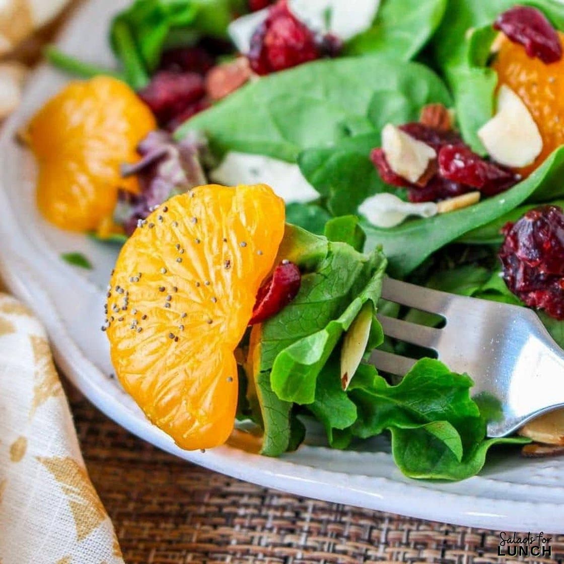 Cranberry and Mandarin Orange Salad with Orange Poppy Seed Dressing Recipe