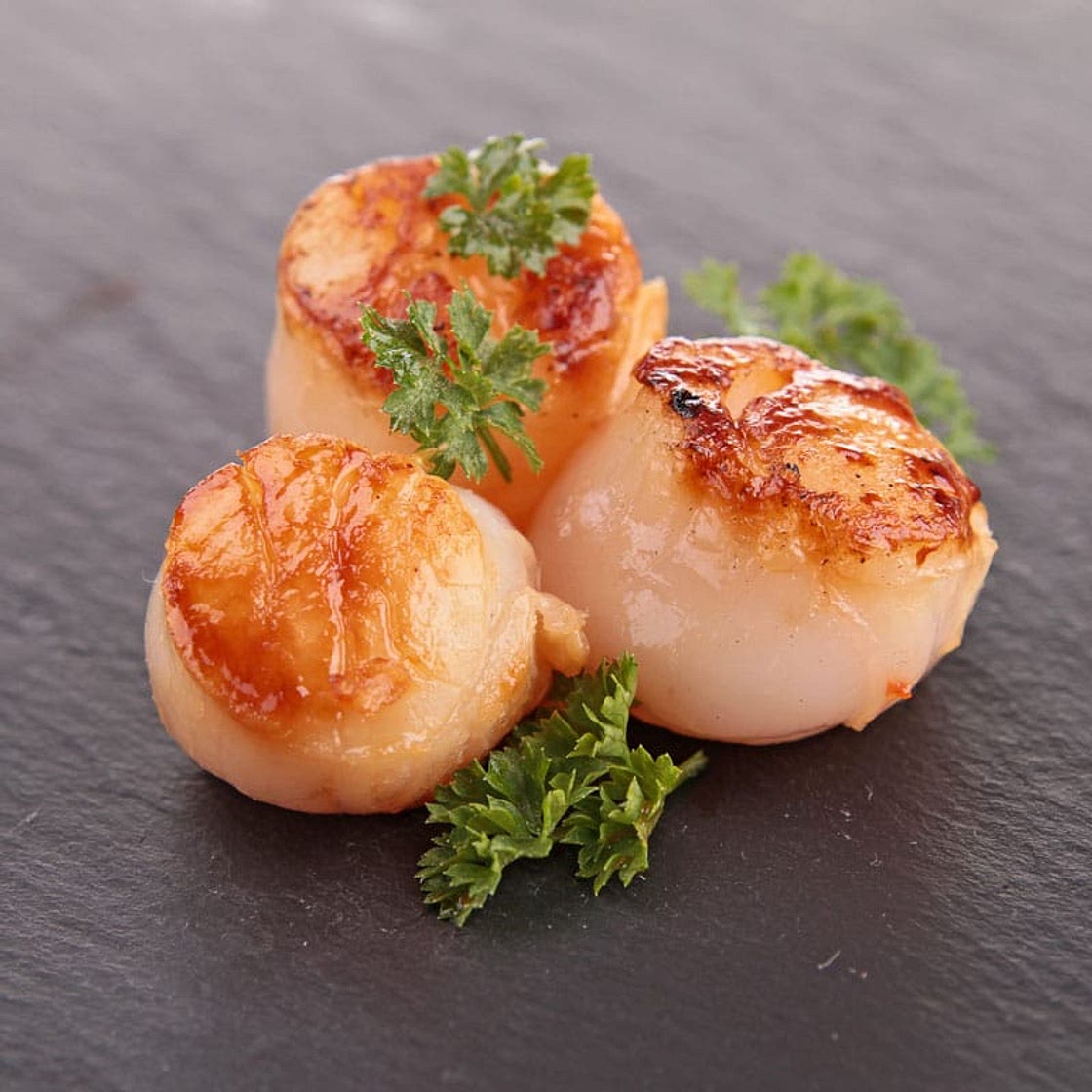 Pan Seared Scallops