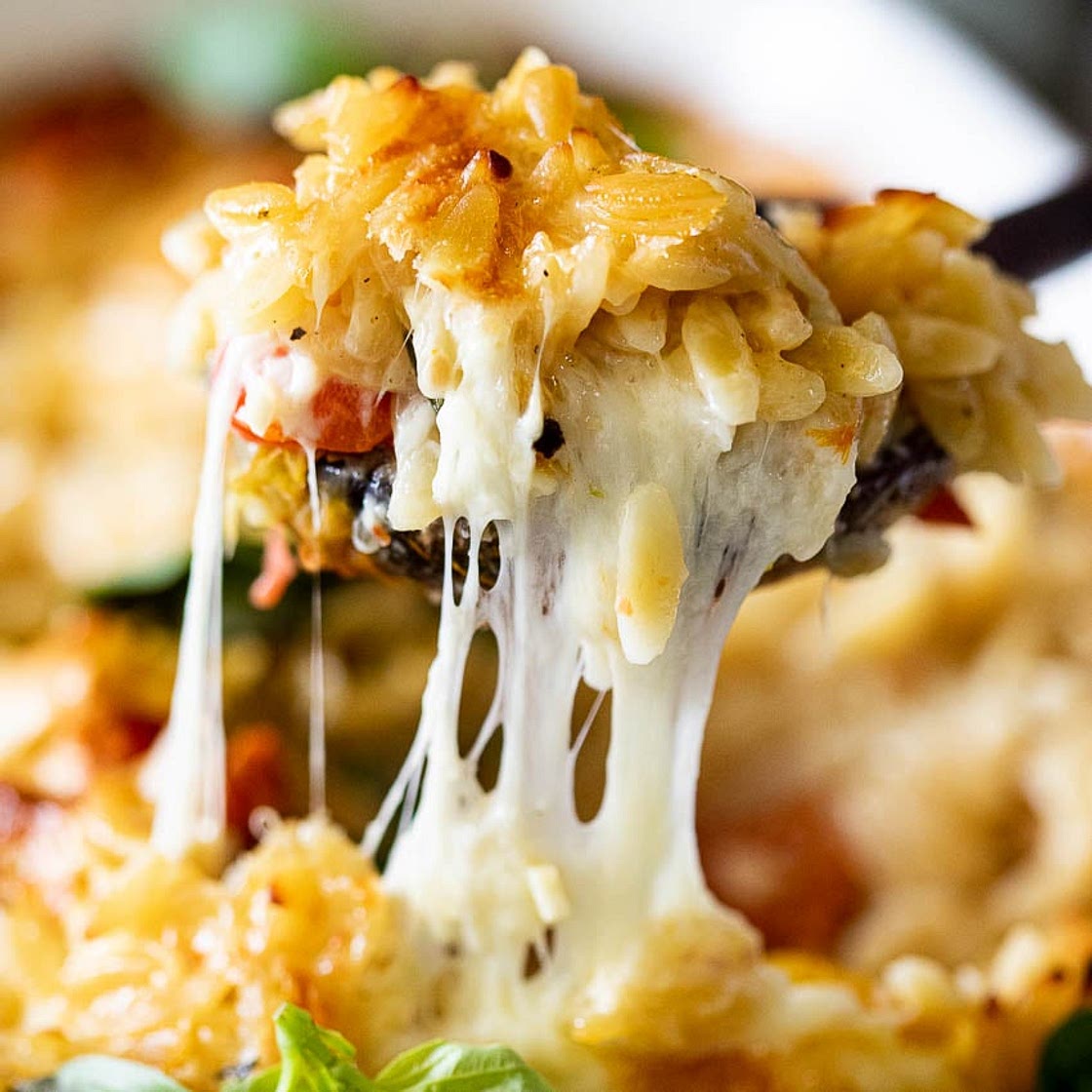 Creamy tomato mozzarella baked orzo