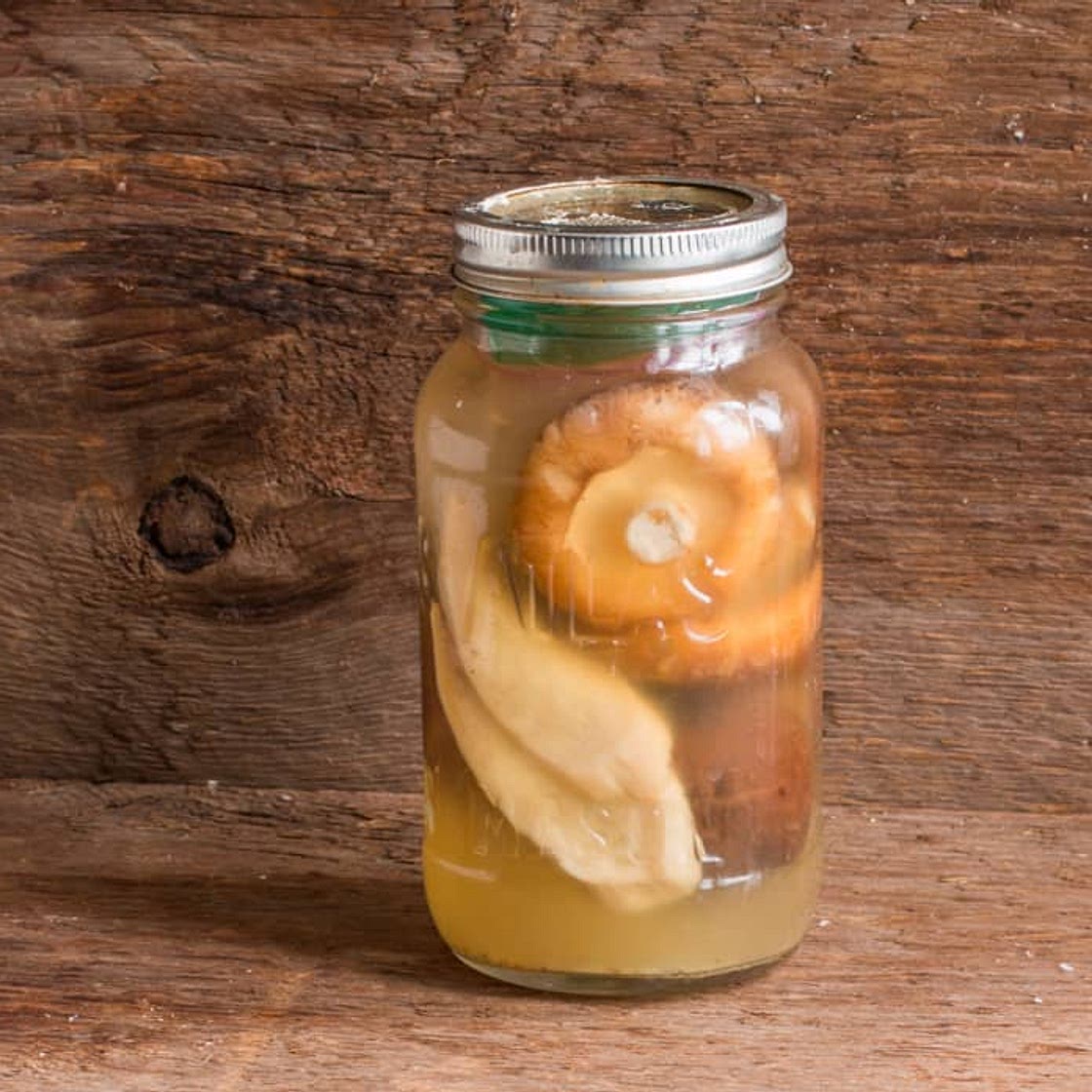 Brine Fermented Mushrooms