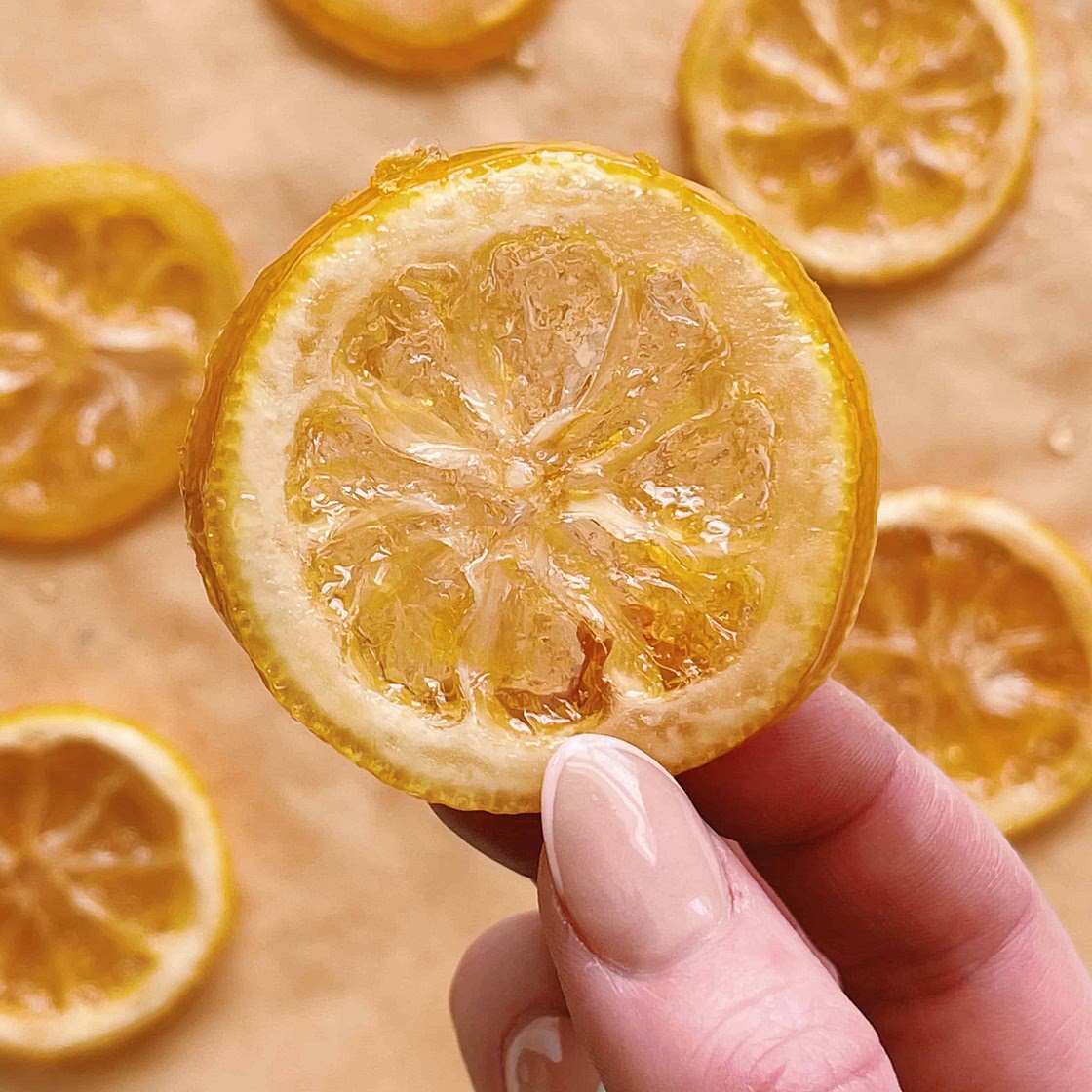Candied Lemon Slices