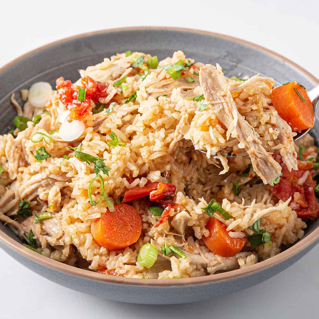 Instant Pot Chicken and Rice