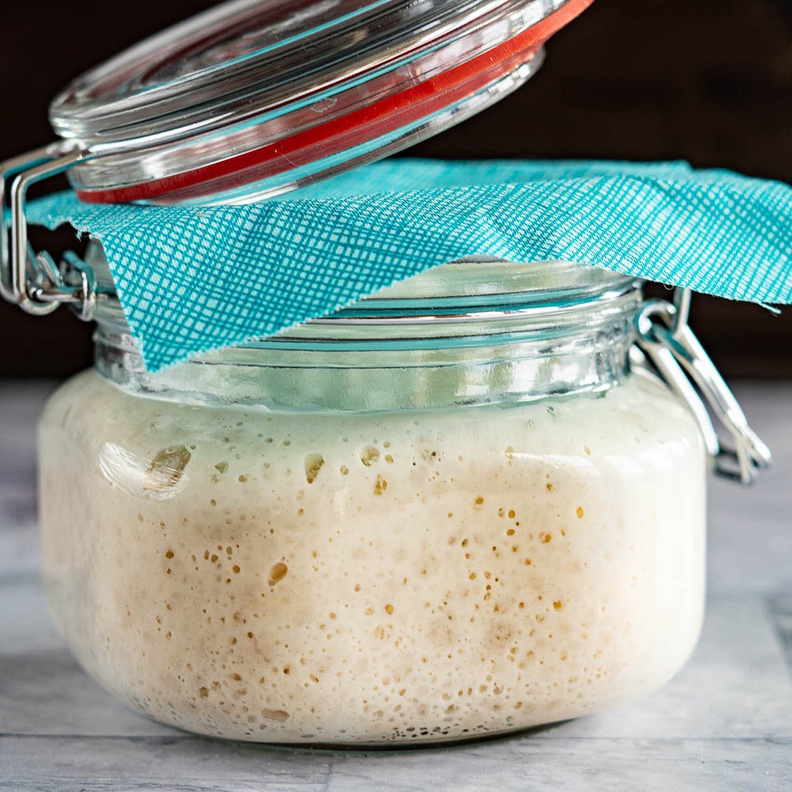Easy Sourdough Starter With Yeast --> Ready in 24 Hours!