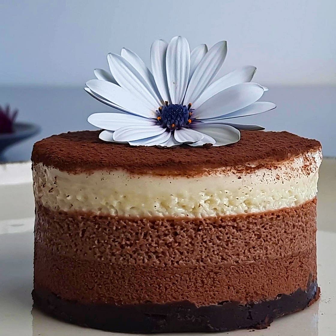 Triple Layer Vegan Chocolate Mousse Cake