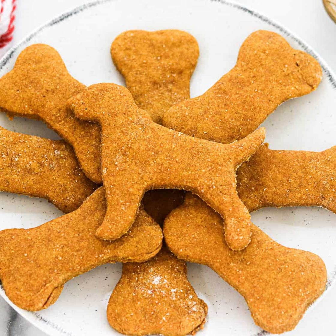 Peanut Butter Pumpkin Dog Treats