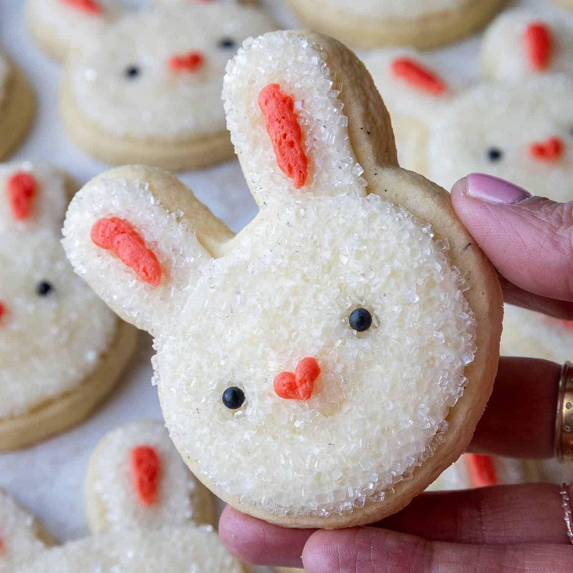 Bunny Rabbit Sugar Cookies