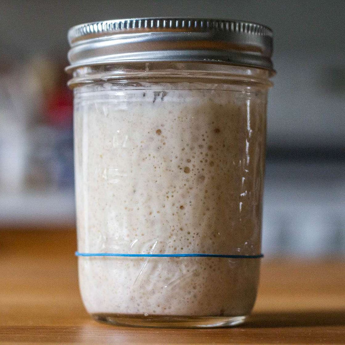 Sourdough Starter Recipe