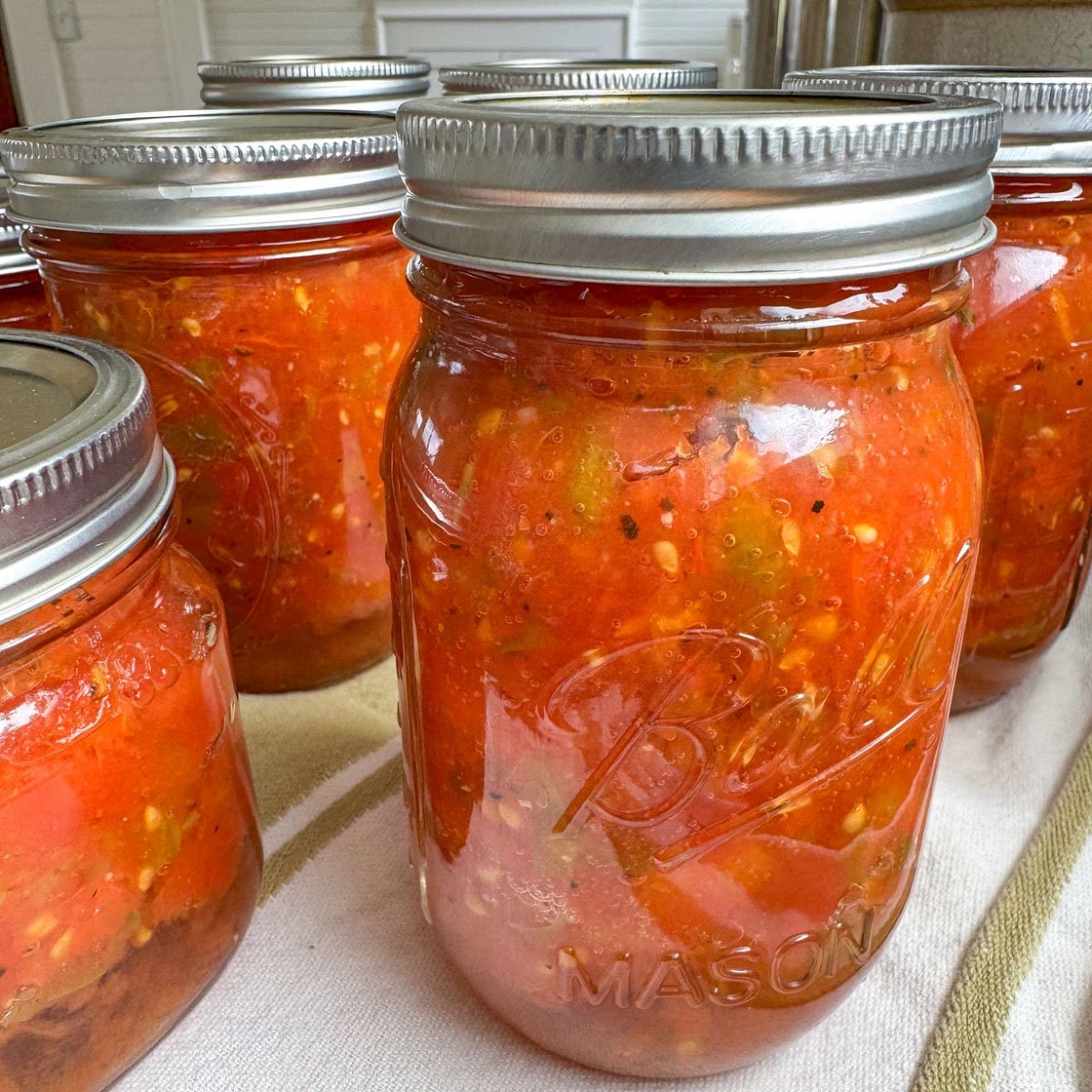 Best Copycat Rotel Recipe (Canned Tomatoes & Chilies)