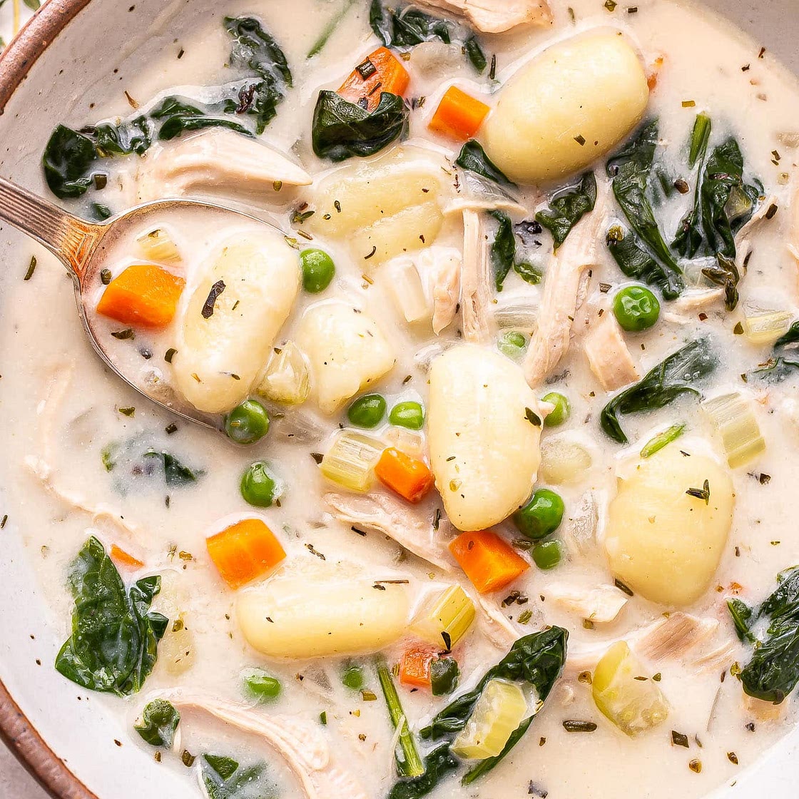 Chicken Gnocchi Soup