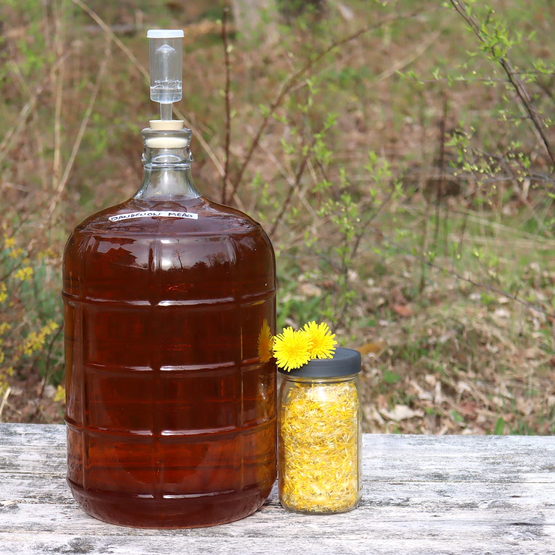 Dandelion Mead