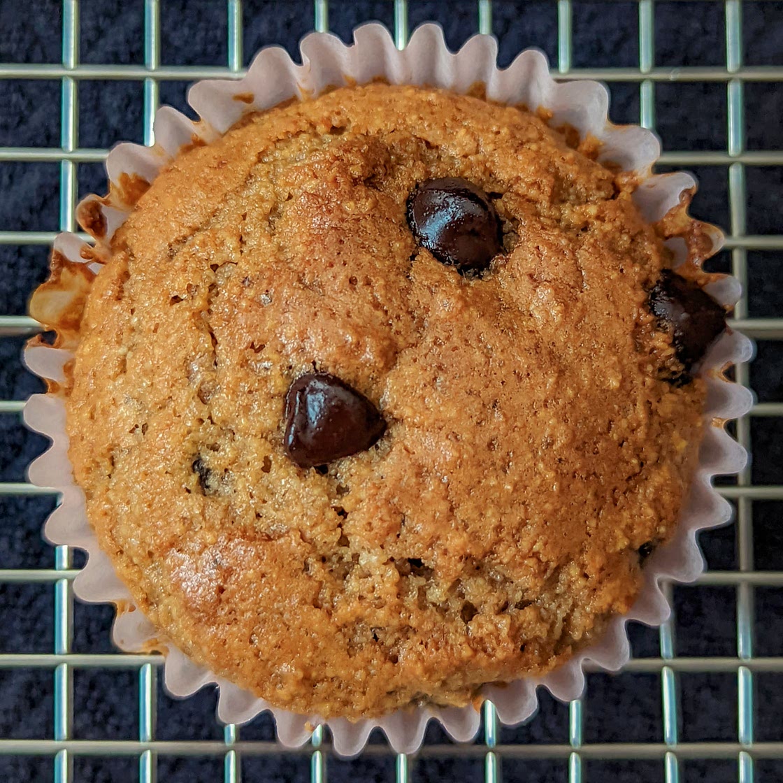 Chocolate Protein Muffins