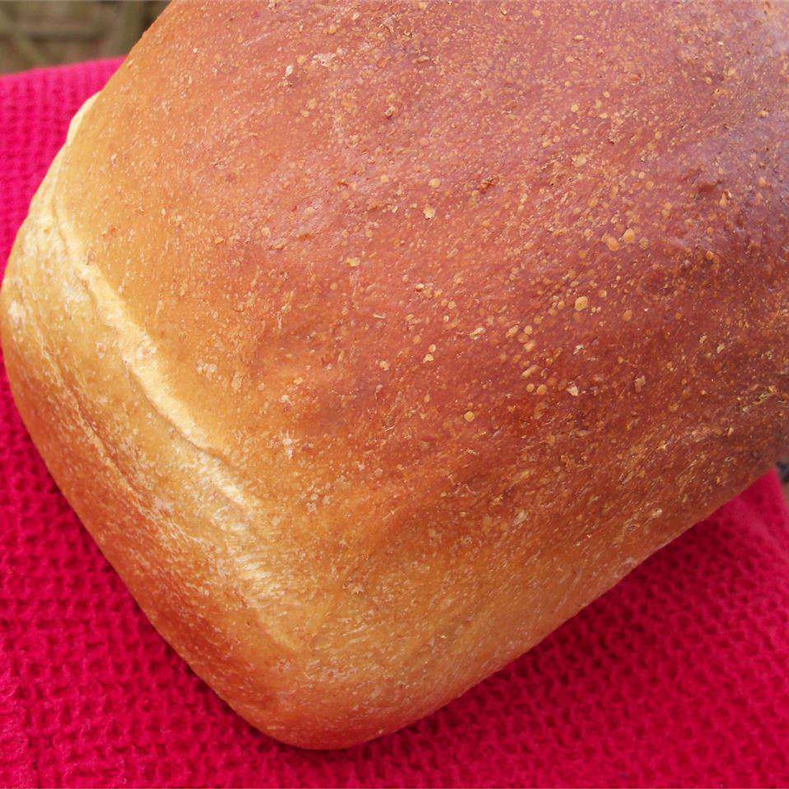 Belgian Molasses Bread