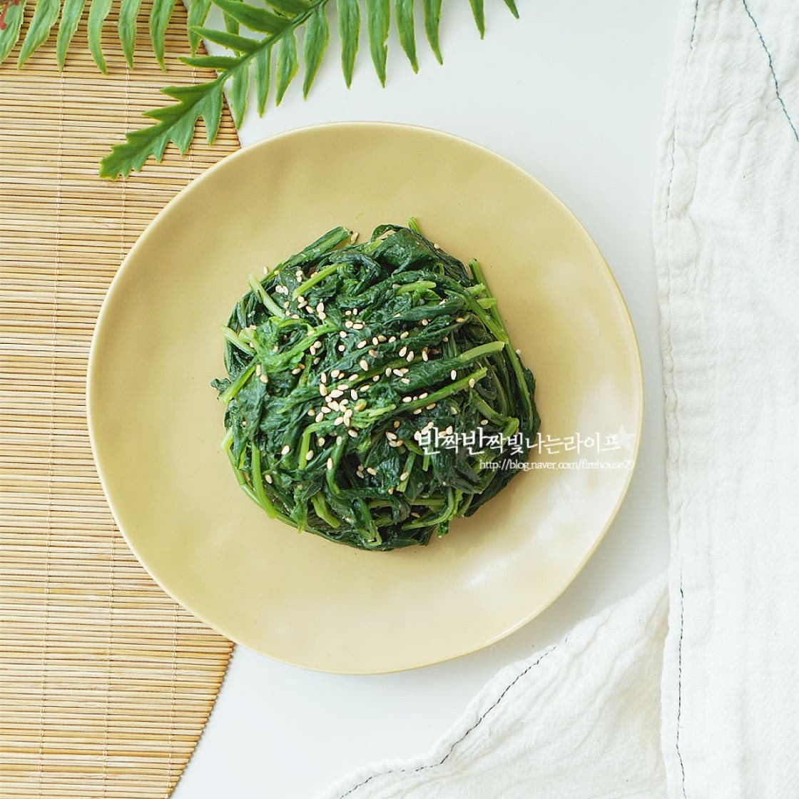 생취나물 무침 만드는 법 취나물 삶기 요리