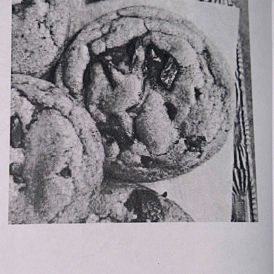 The Best Chocolate Chip Cookies Ever