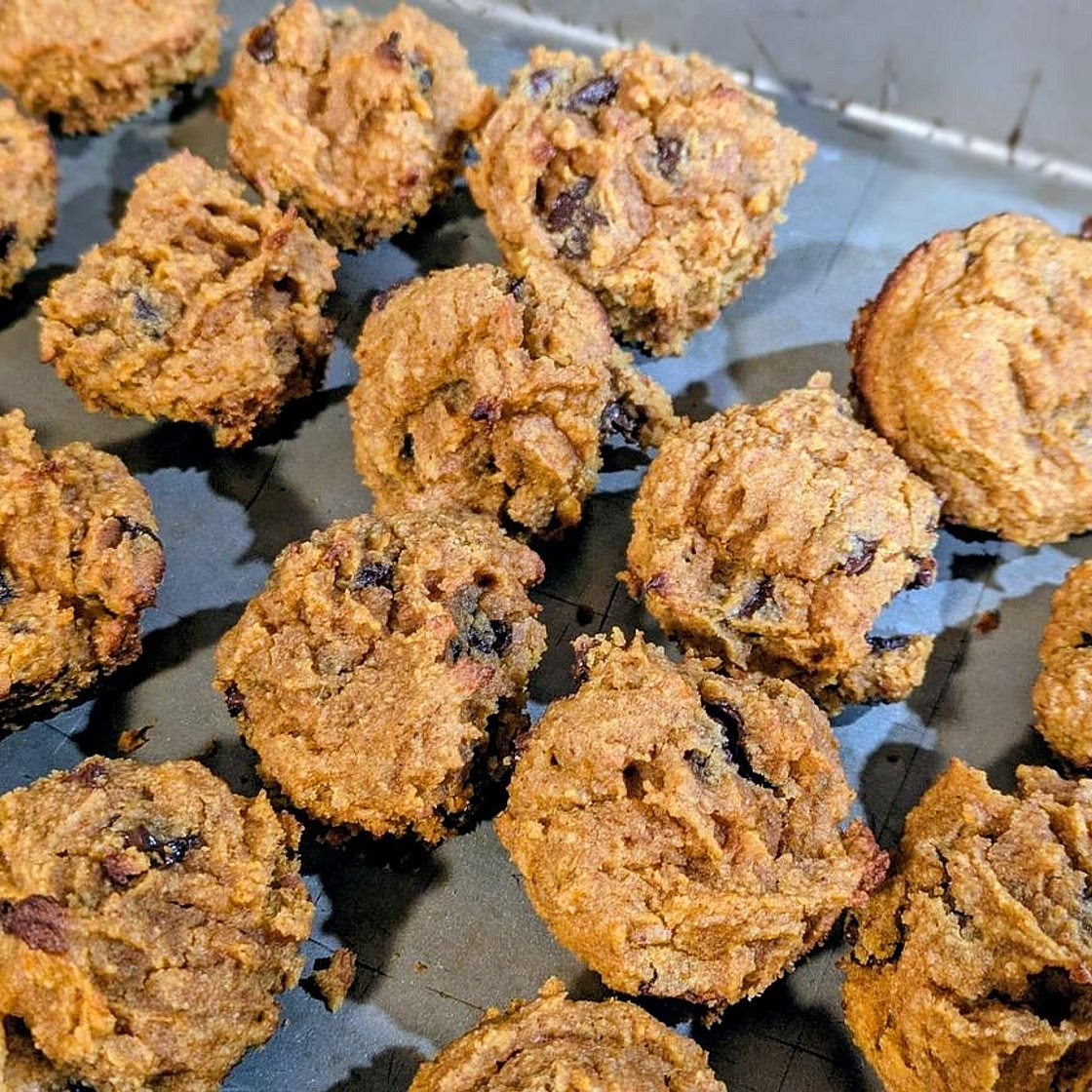Pumpkin Chocolate Chip Mini Muffins