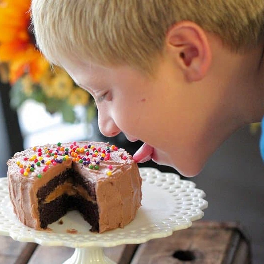 Chocolate Peanut Butter Cake for One