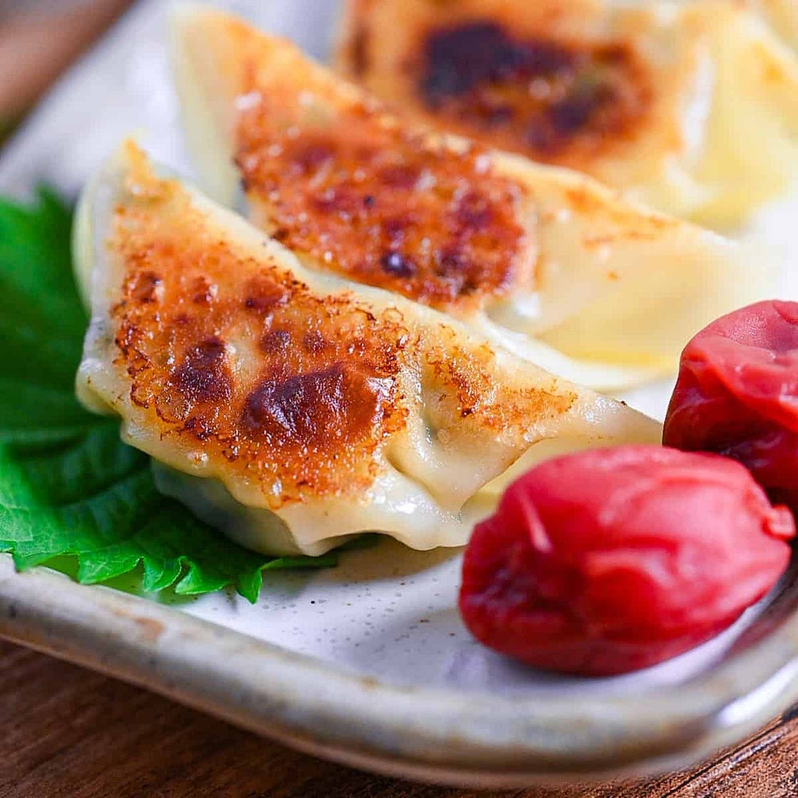 Chicken Yaki Gyoza with Umeboshi and Shiso