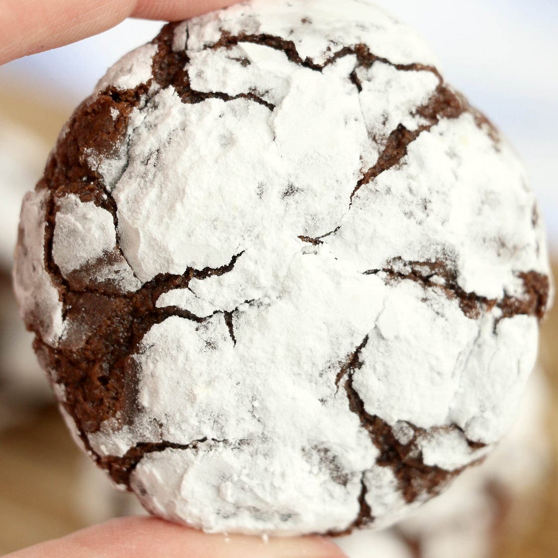 Old Fashioned Chocolate Crinkle Cookies