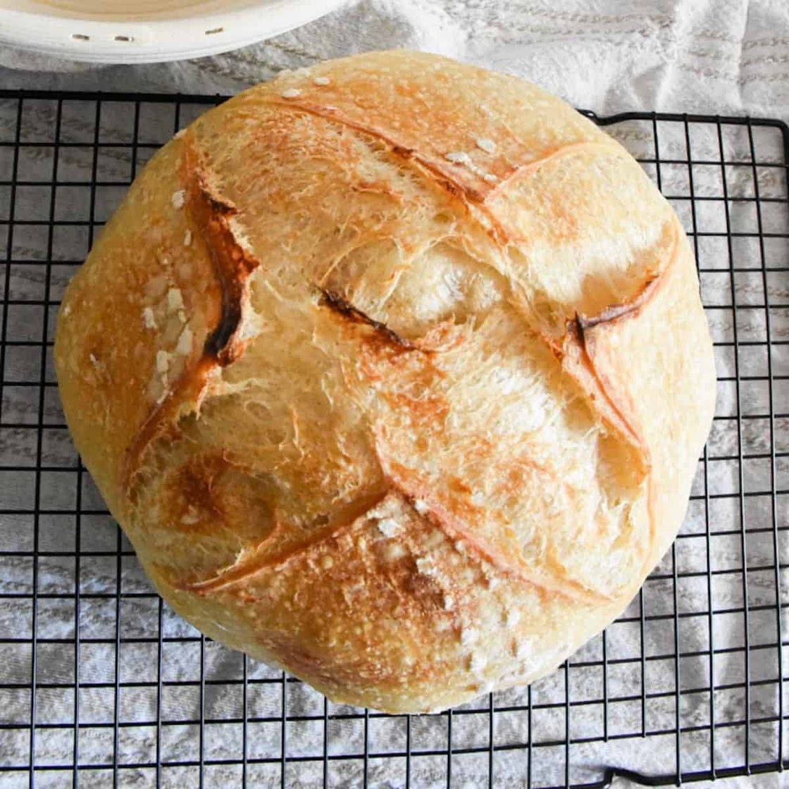 Speedy Same Day Sourdough Bread Recipe (Easy to Make)