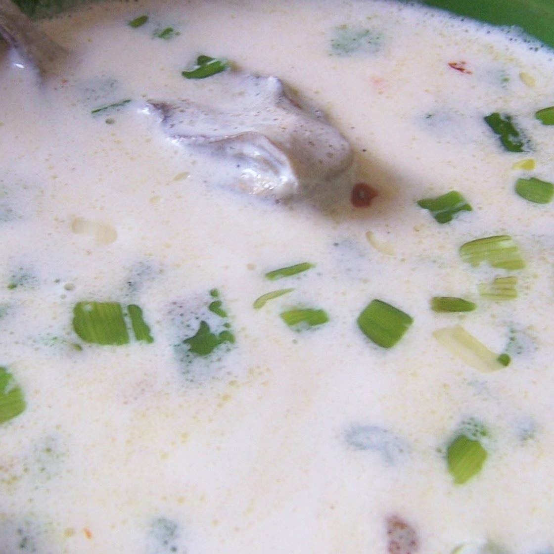 Creamy Oyster Stew