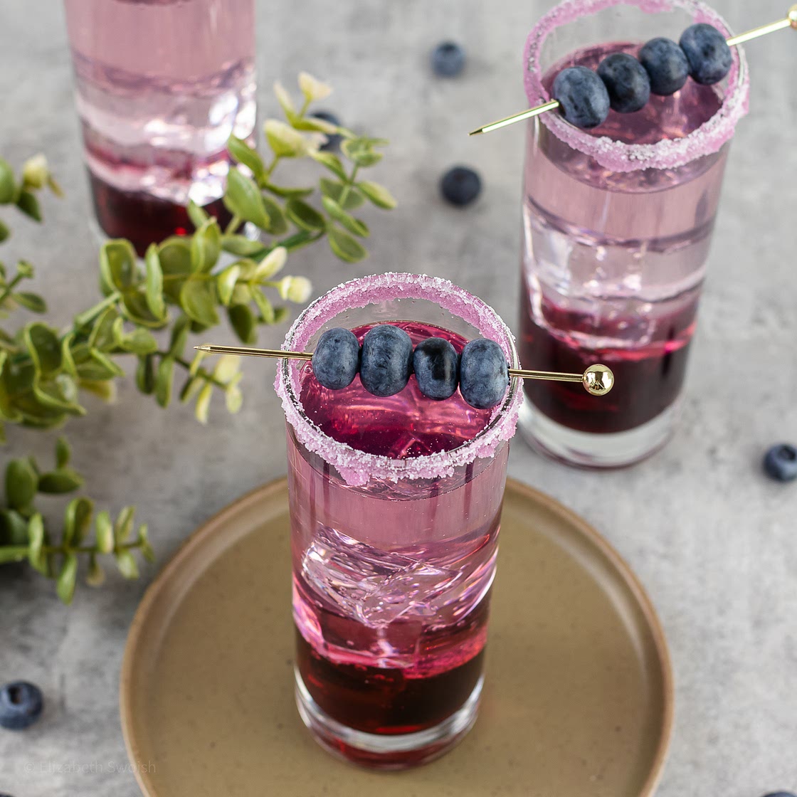 Blueberry Gin Cocktail