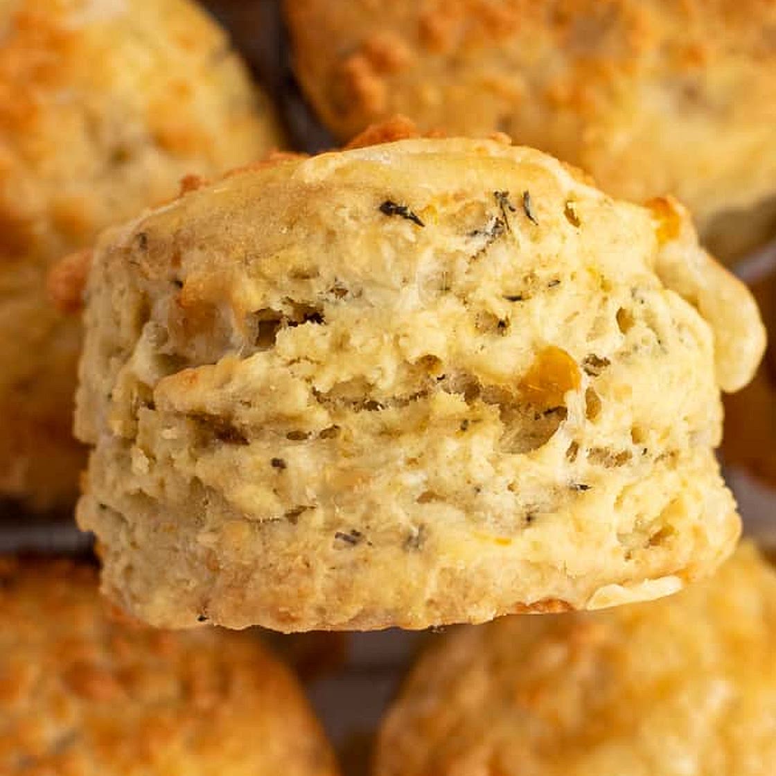 Apricot Stilton Scones