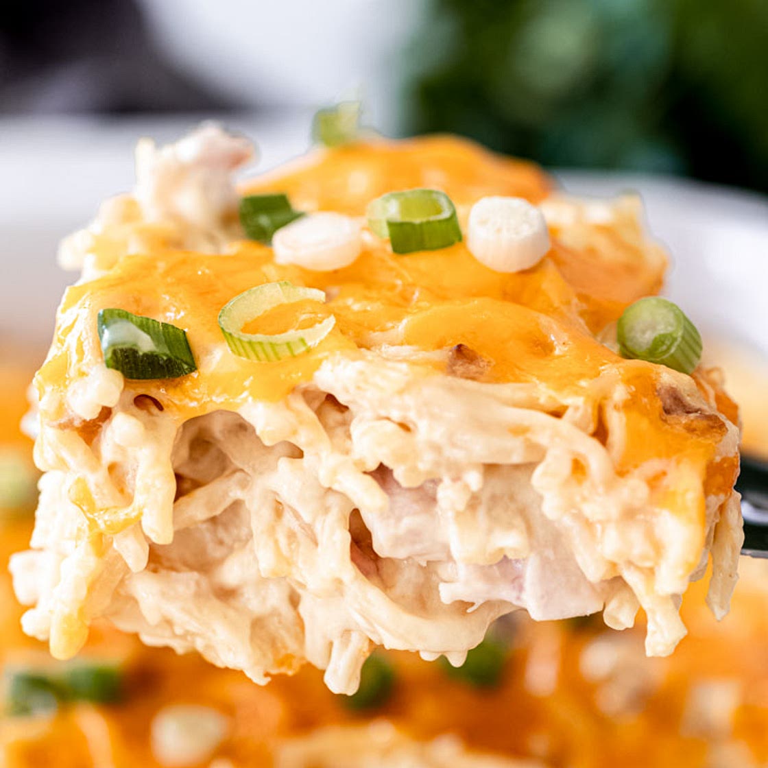 Chicken Noodle Casserole