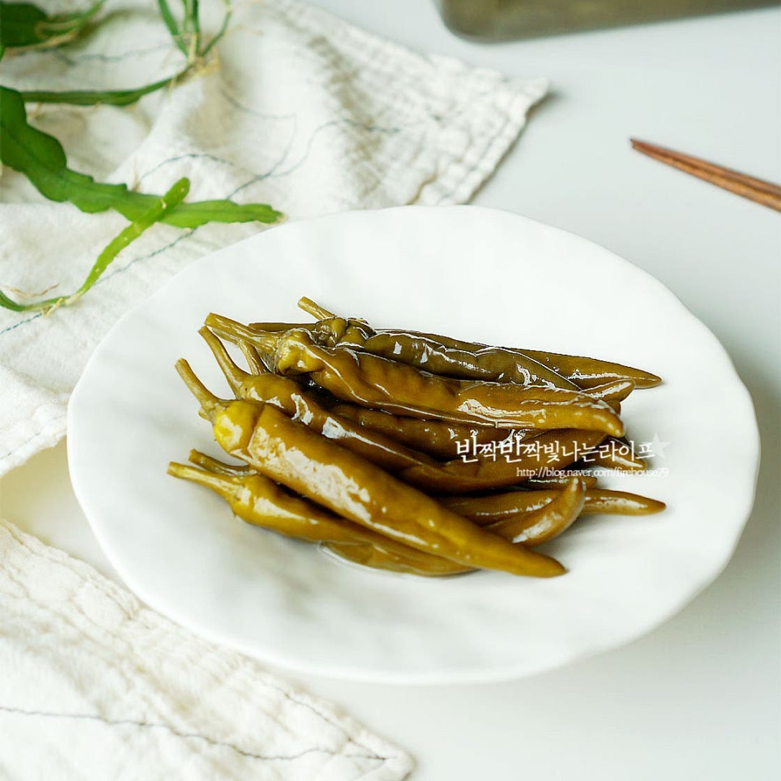 고추삭히는법 고추삭히기 방법 동치미 삭힌고추 만들기 고추지