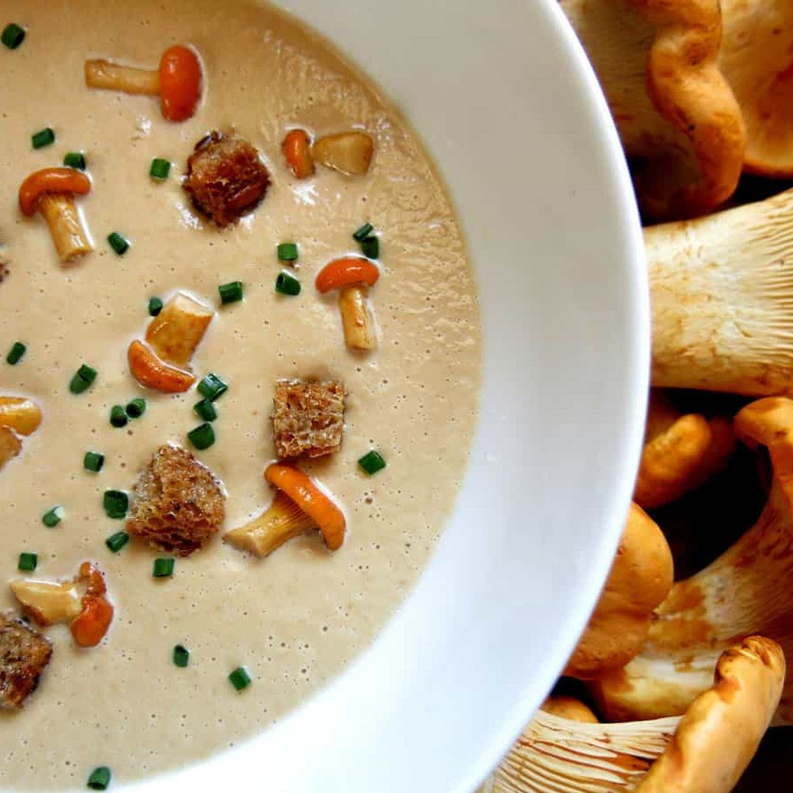 Last Chance Cream of Chanterelle Soup