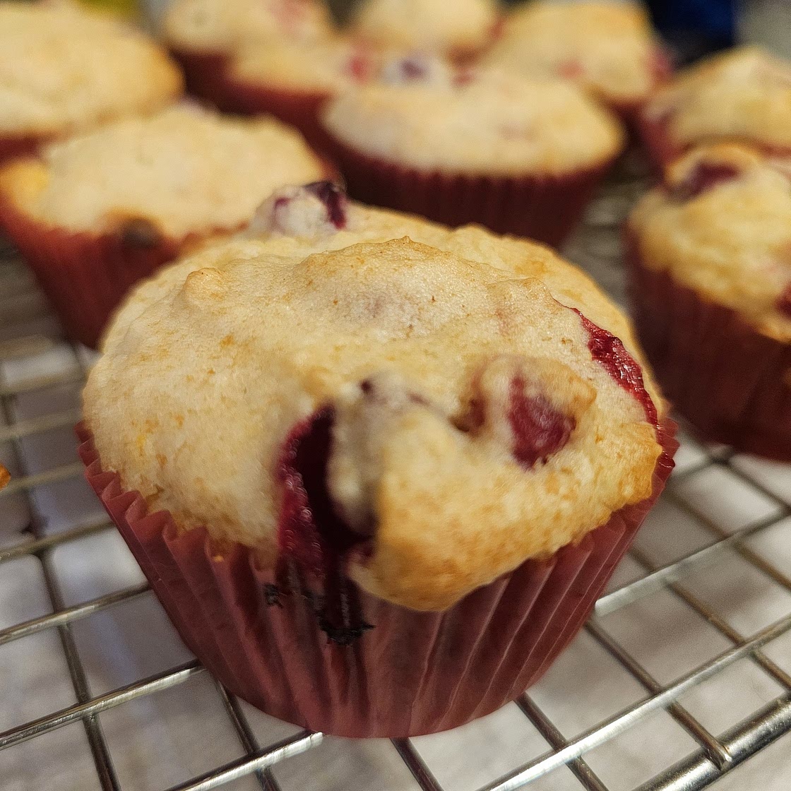 BEST Cranberry Orange Muffins