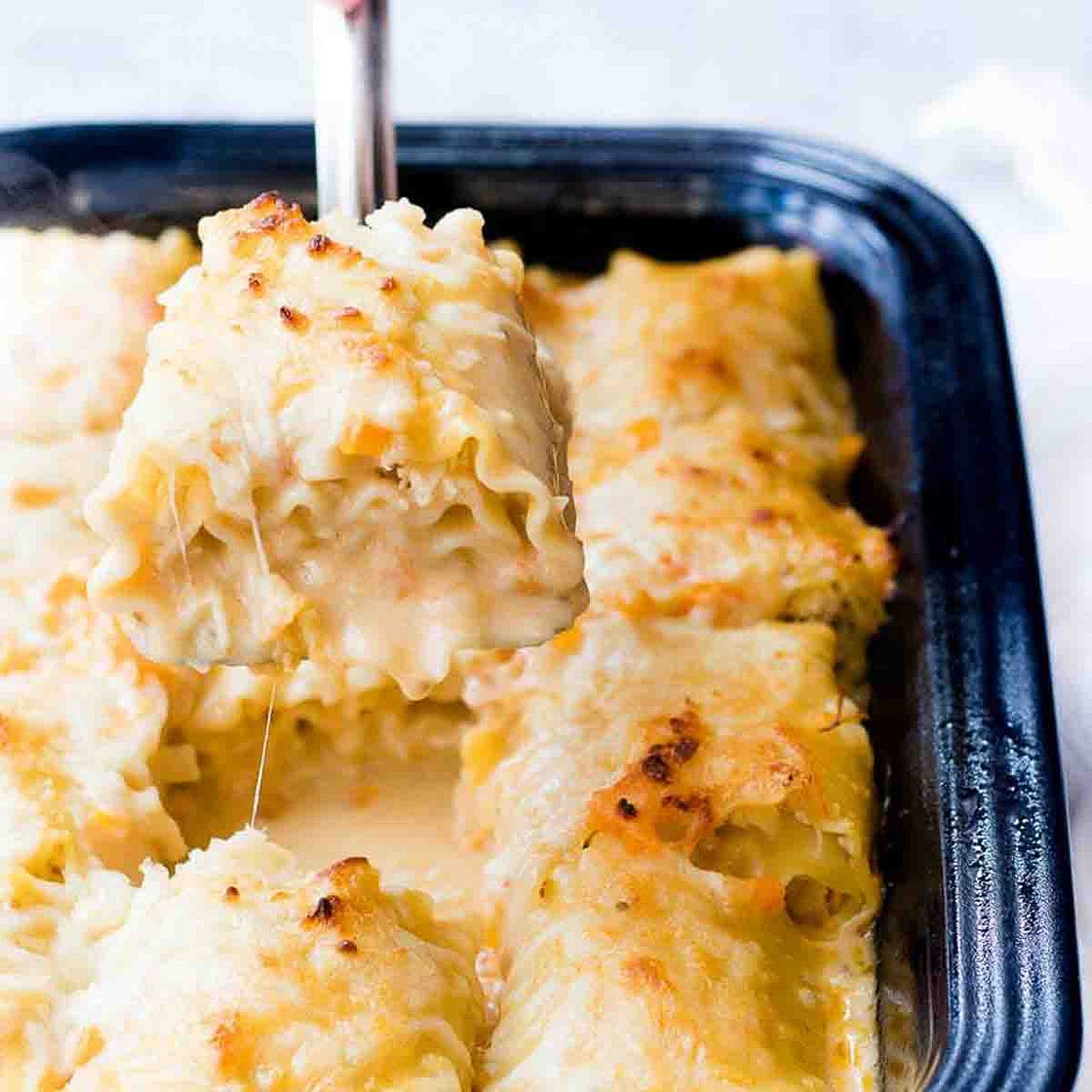 Easy Chicken Lasagna Roll Ups