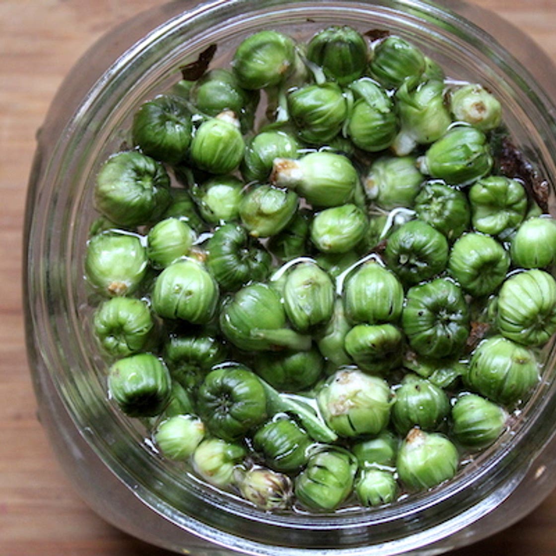 Pickled Dandelion Capers