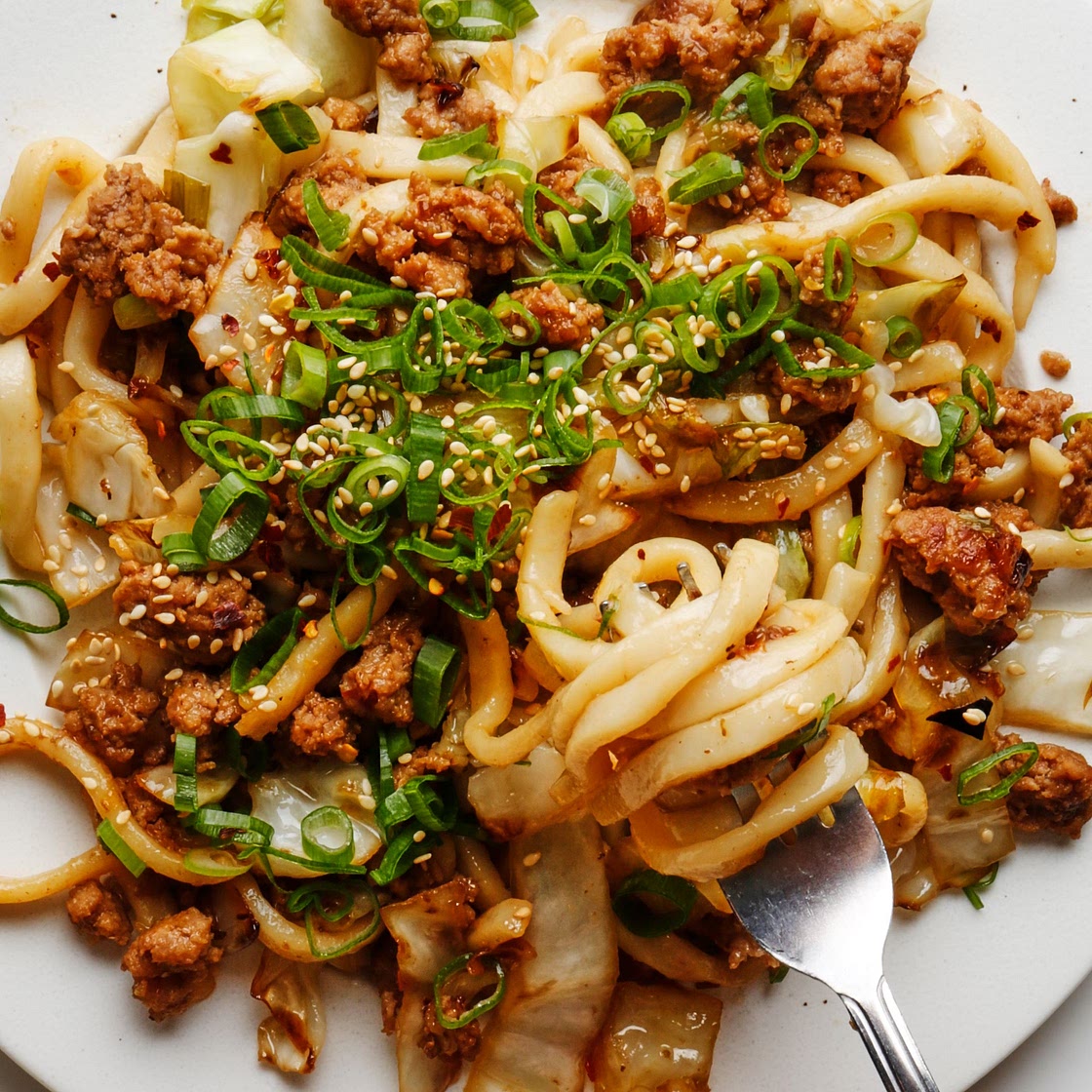 Stir-Fried Udon Noodles With Pork and Scallions