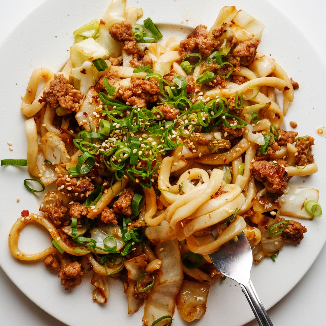 Stir-Fried Udon Noodles With Pork and Scallions