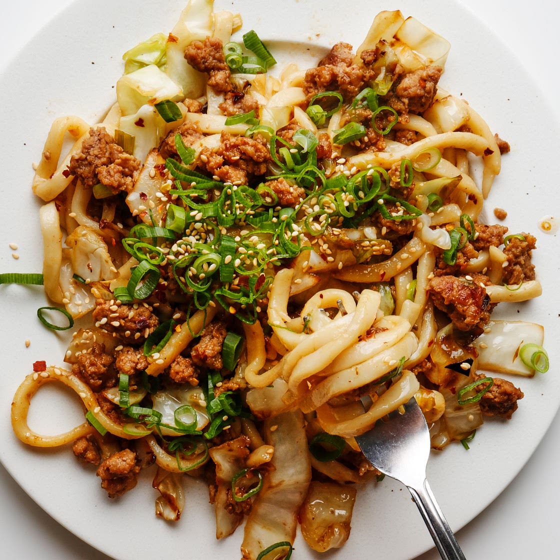 Stir-Fried Udon Noodles With Pork and Scallions